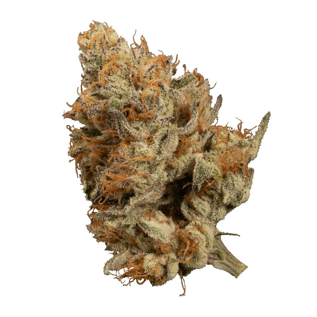 Bacio Gelato | Big Buds | 3.5g