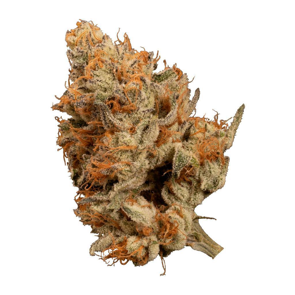 Bacio Punch #8 | Big Buds | 3.5g