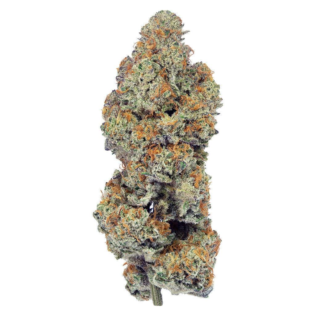 Hazes & Jacks | Big Buds | 7g