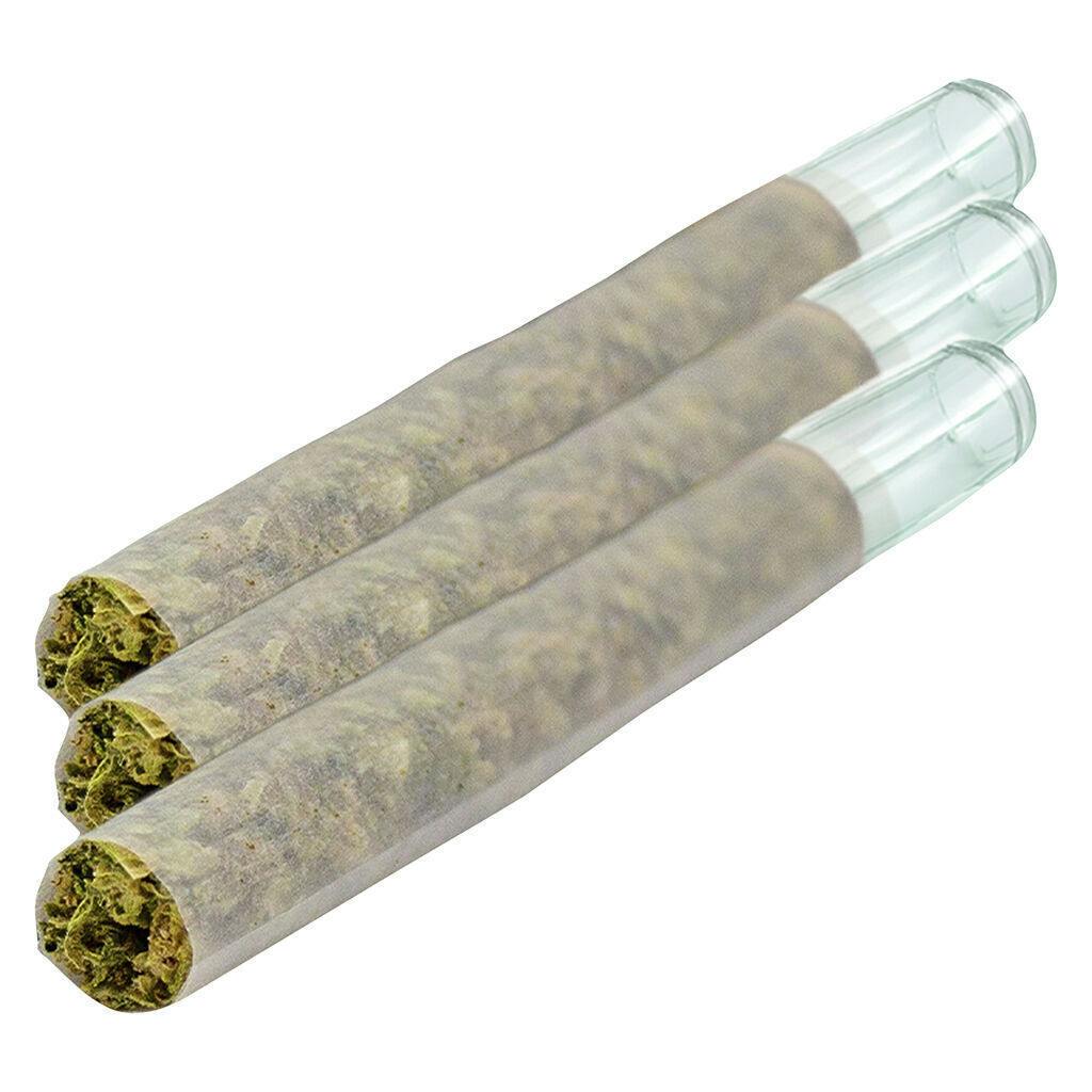 Magik Dragon | Minis | 0.5g | 3pk