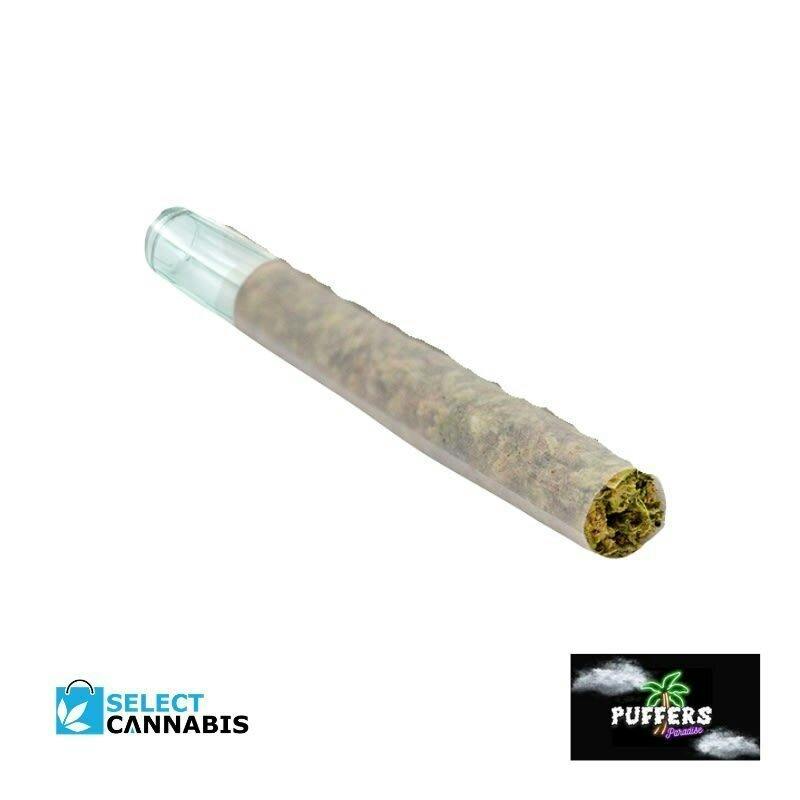 Honah Lee Haze | Minis | 0.5g