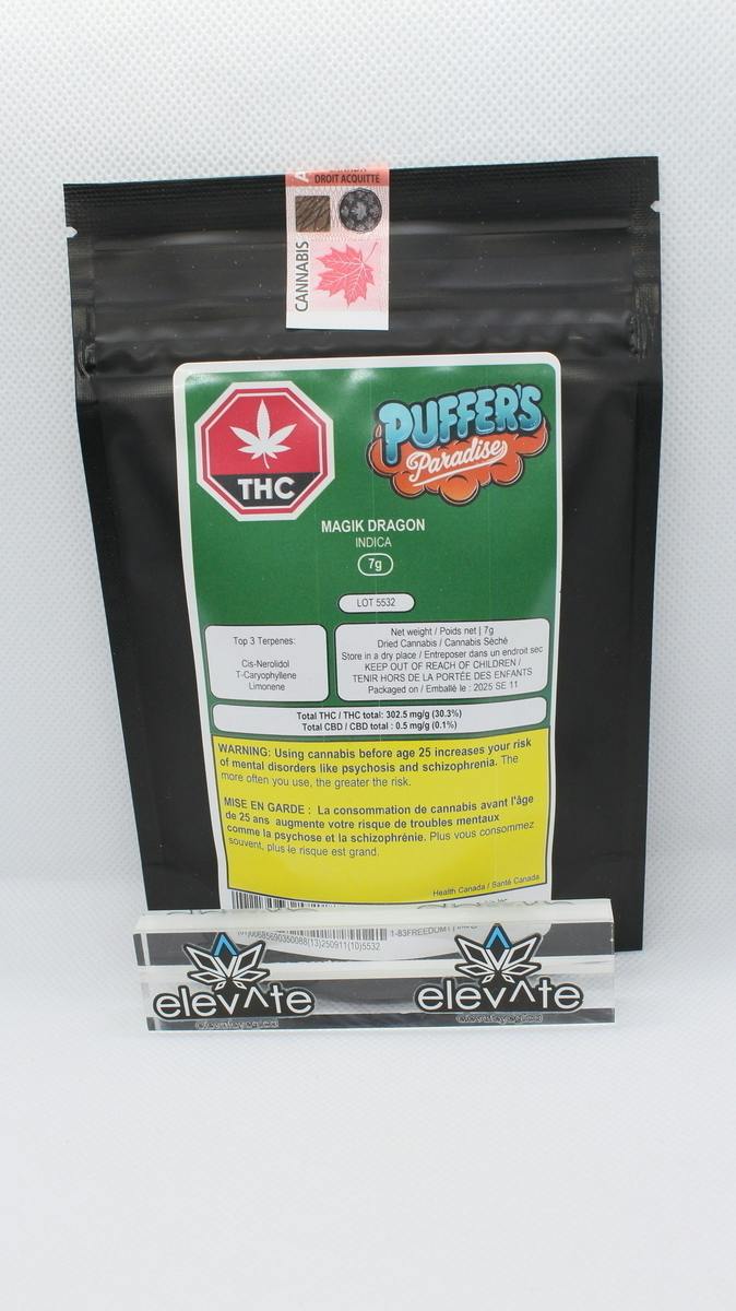 Magik Dragon | Big Buds | 7g