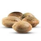 Golden Melons (Feminized) 5 pack of seeds | Seeds
