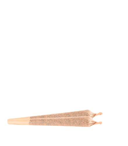 Panama Gold | Joints | 1g | 2pk