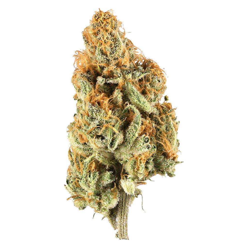 Lemon Haze | Big Buds | 3.5g