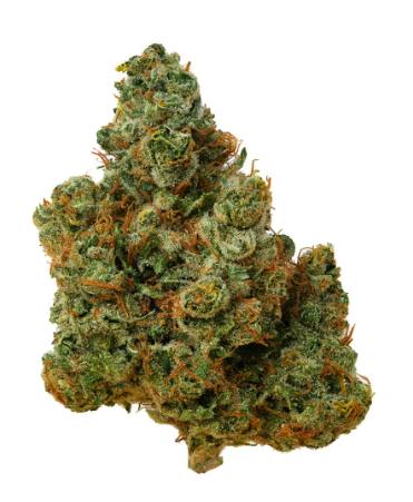 Mmmosa Evo | Big Buds | 3.5g