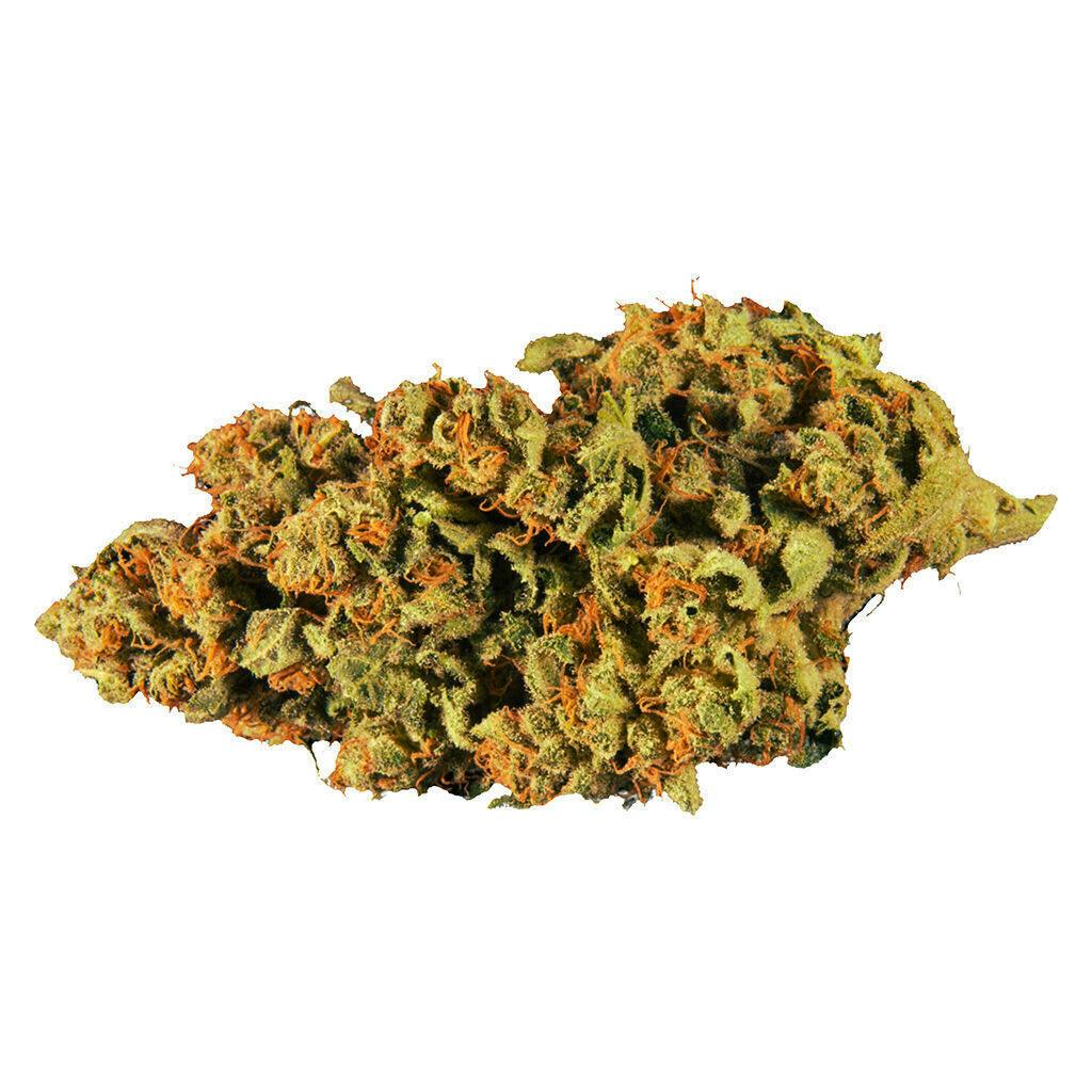 Dawg Walker | Big Buds | 14g