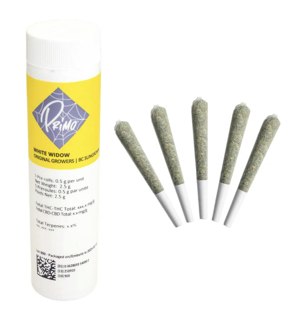 White Widow | Minis | 0.5g | 5pk