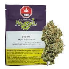 Pine Tar | Big Buds | 3.5g