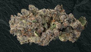 Sudz | Big Buds | 7g