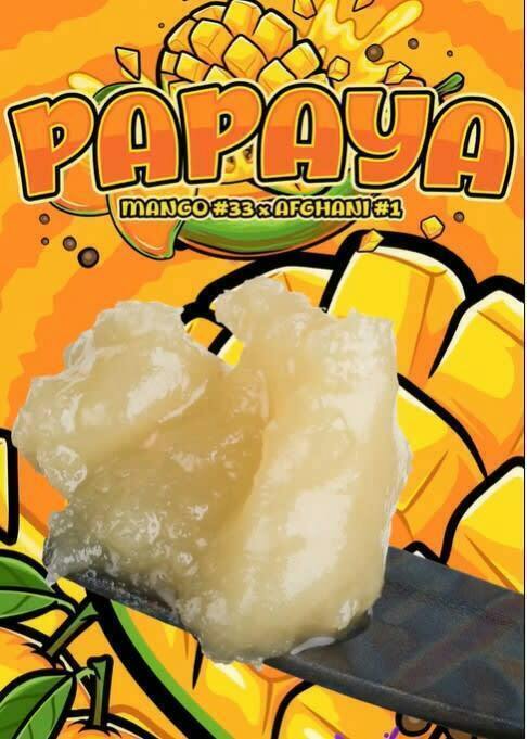 papaya | Solventless | Rosin | 4g