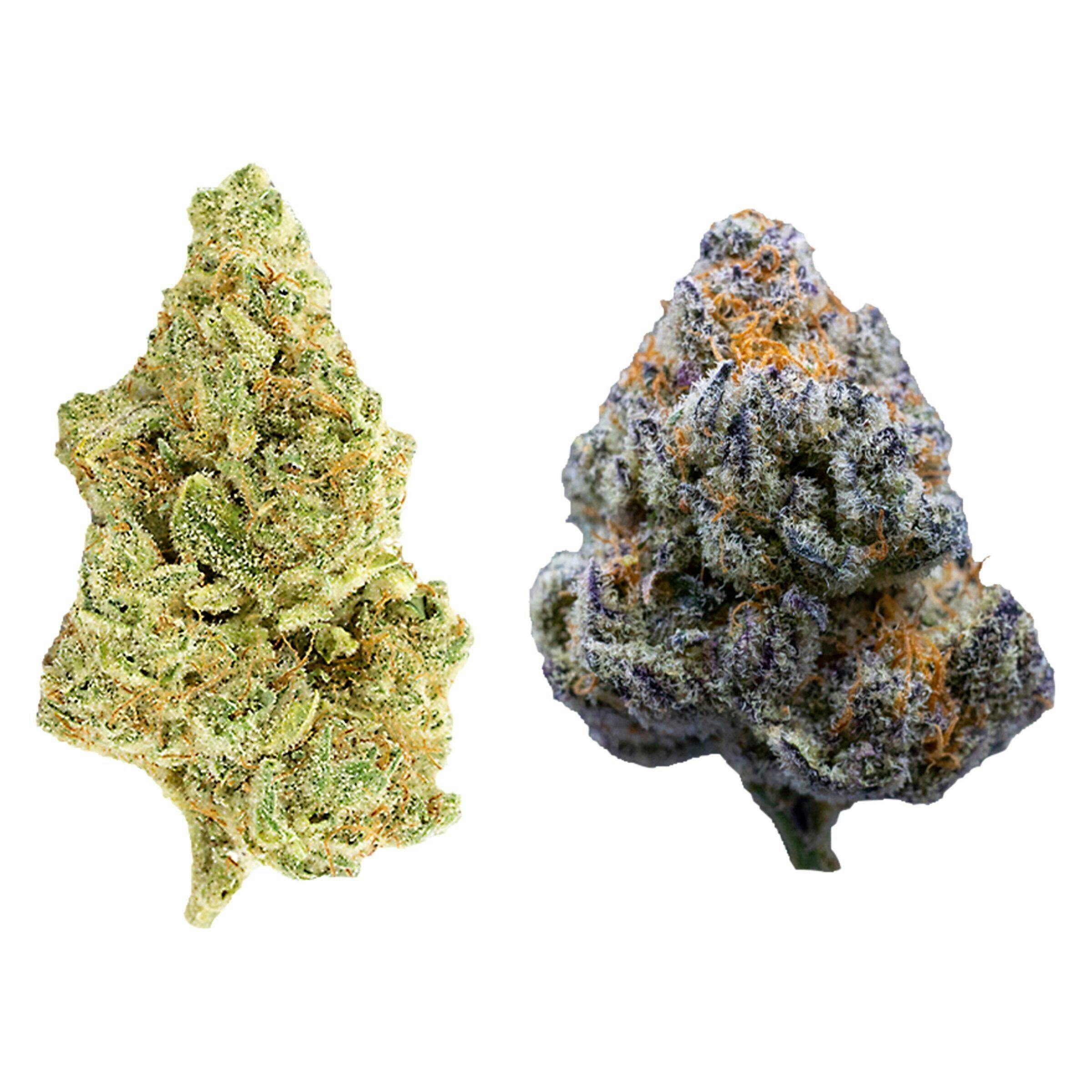 the bread bag | Big Buds | 7g