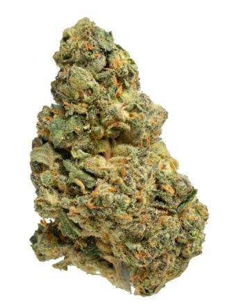 Papaya Power | 28g