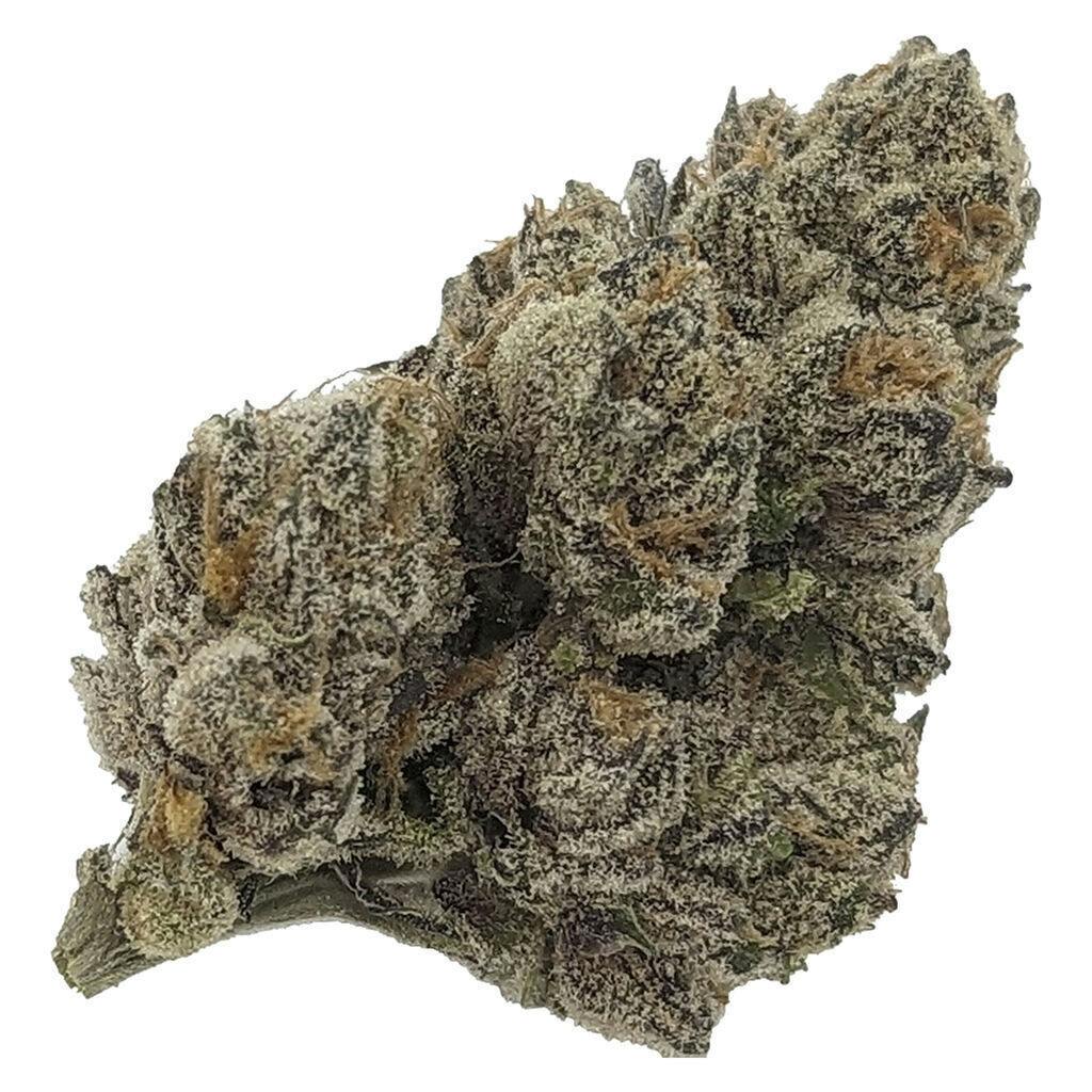 10 G's | Big Buds | 3.5g