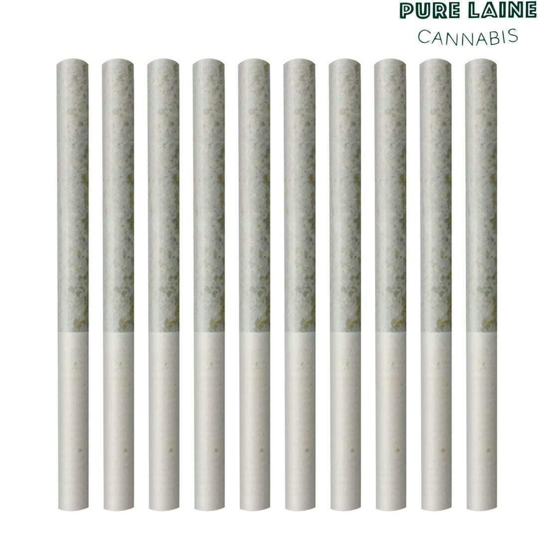 Special Haze | Minis | 0.35g | 10pk
