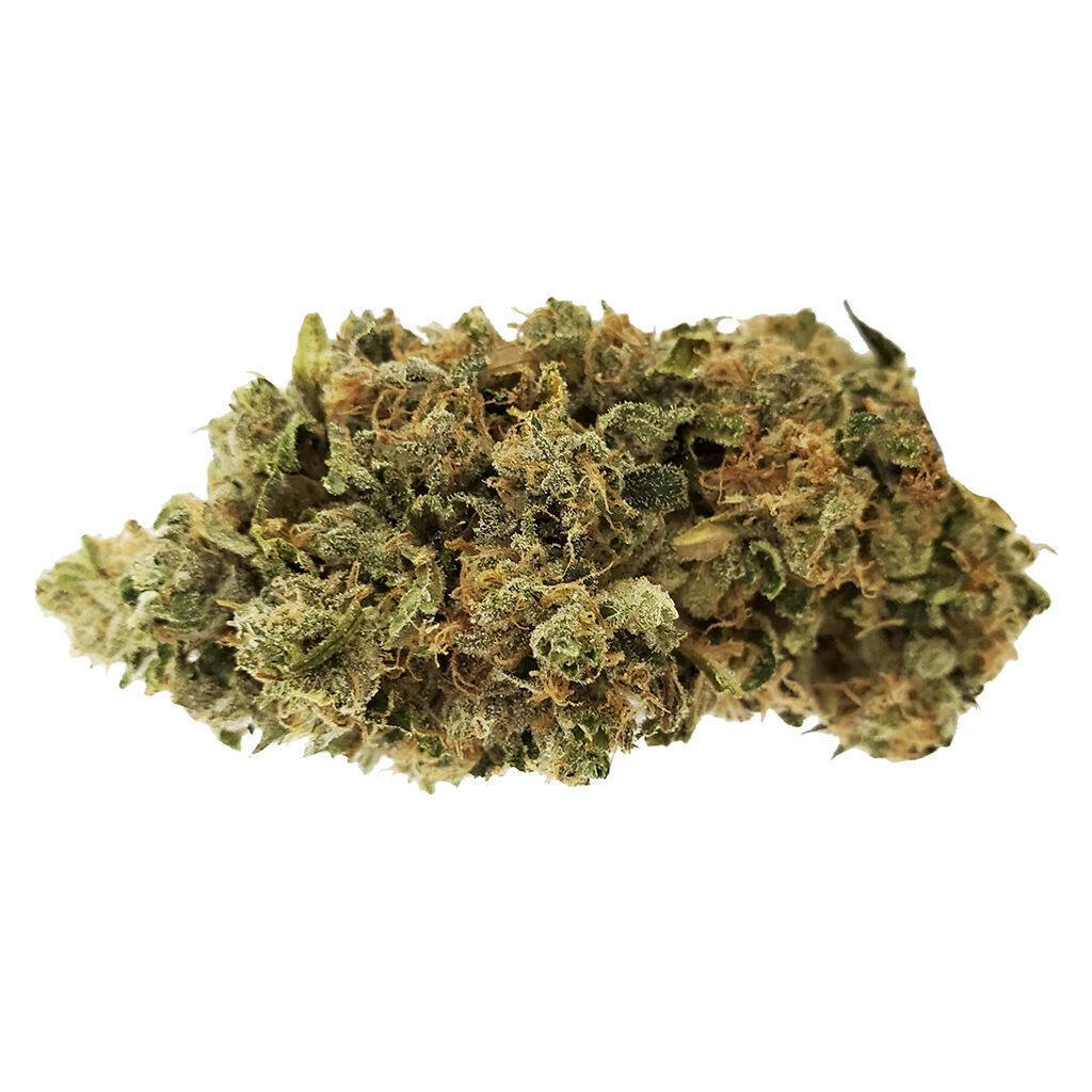 Big Pleasures | Big Buds | 28g