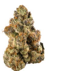 Bong Guru Rockstar | Big Buds | 14g