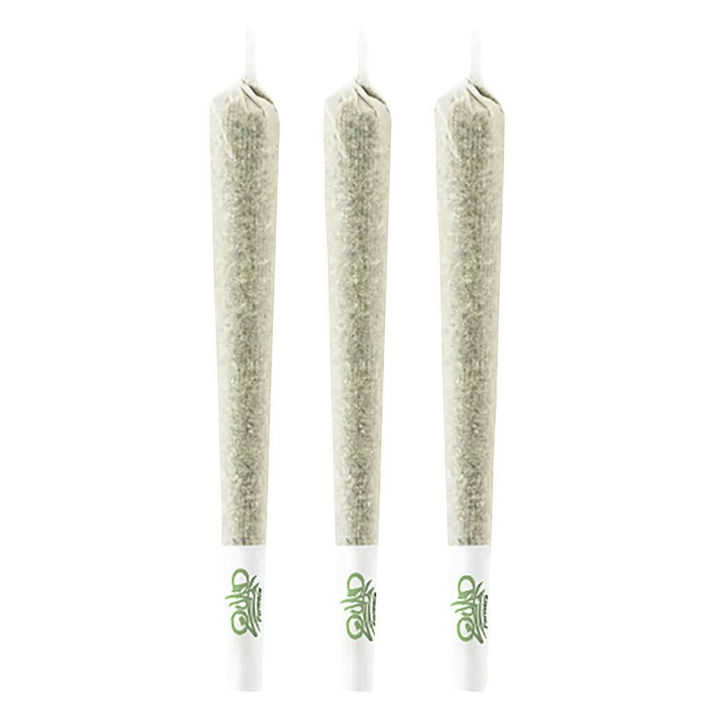 Rainbow Sherb 11 | Minis | 0.5g | 3pk