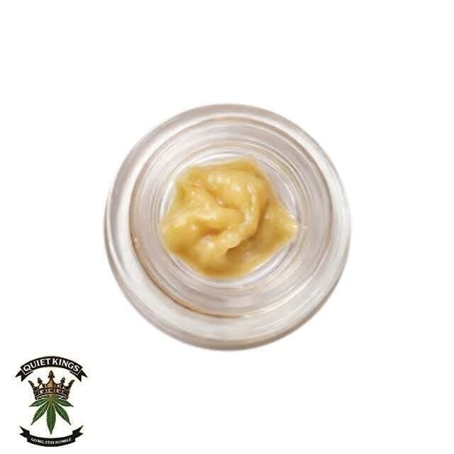 Quiet Kings: Lemon Cherry Gelato