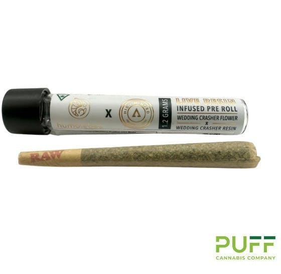 Humblebee | Candied Lemon & Squirt | Live Resin Infused Joint | 1.2g