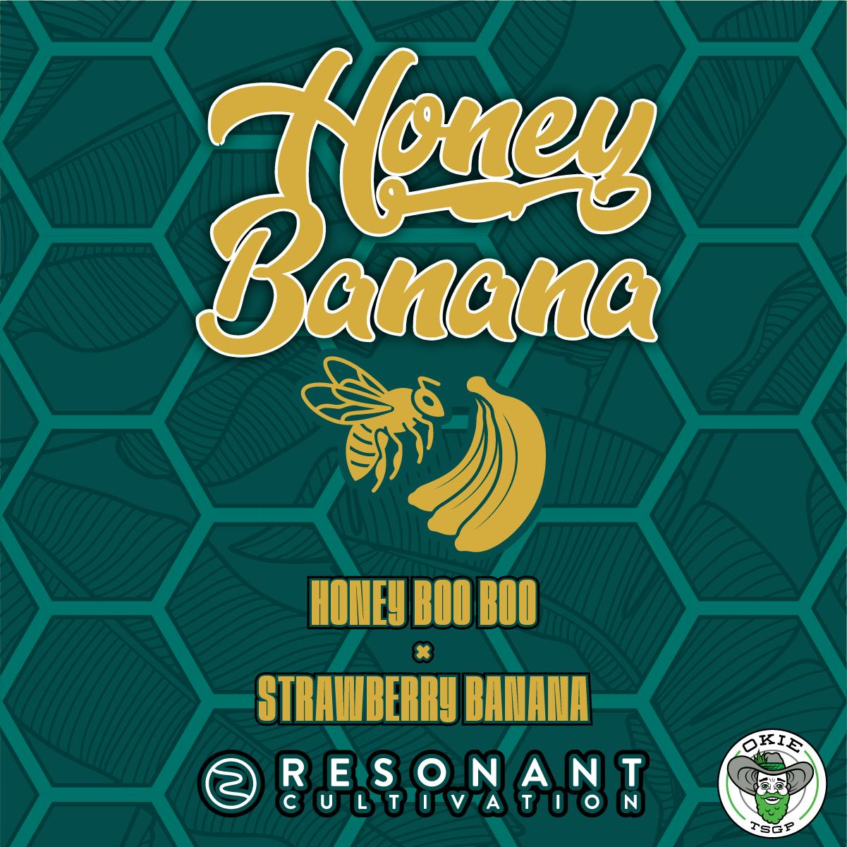 Honey Banana (Resonant) - Live Hash Rosin Batter - 4g