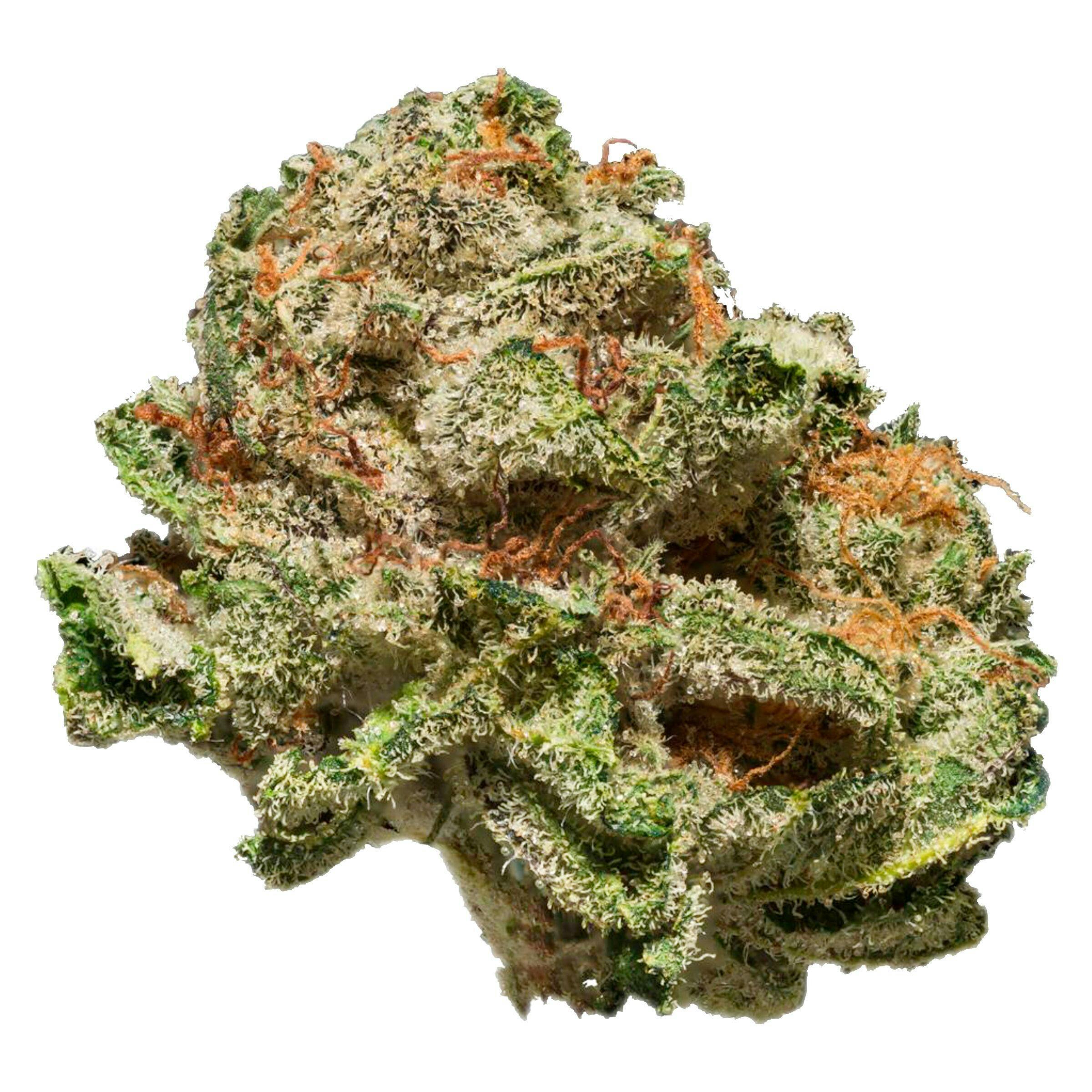 Terp N' Tine | Big Buds | 28g