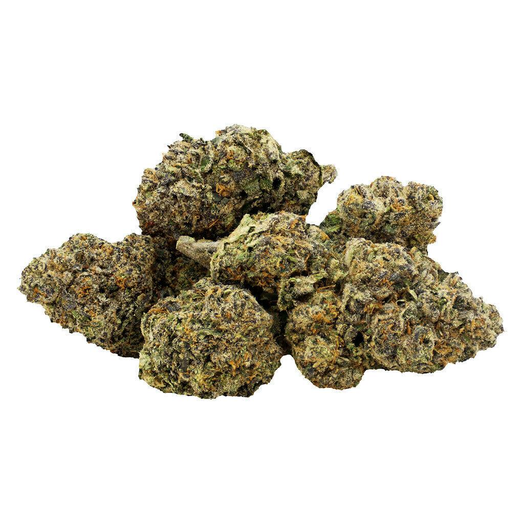 Jealousy x Biscotti | Big Buds | 7g