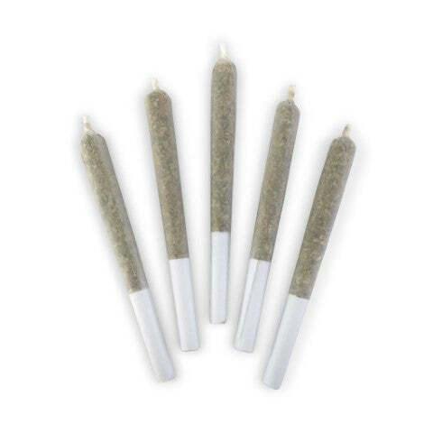 Master Kush Ultra | Minis | 0.5g | 5pk