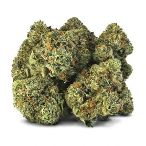 MK Ultra | 7g
