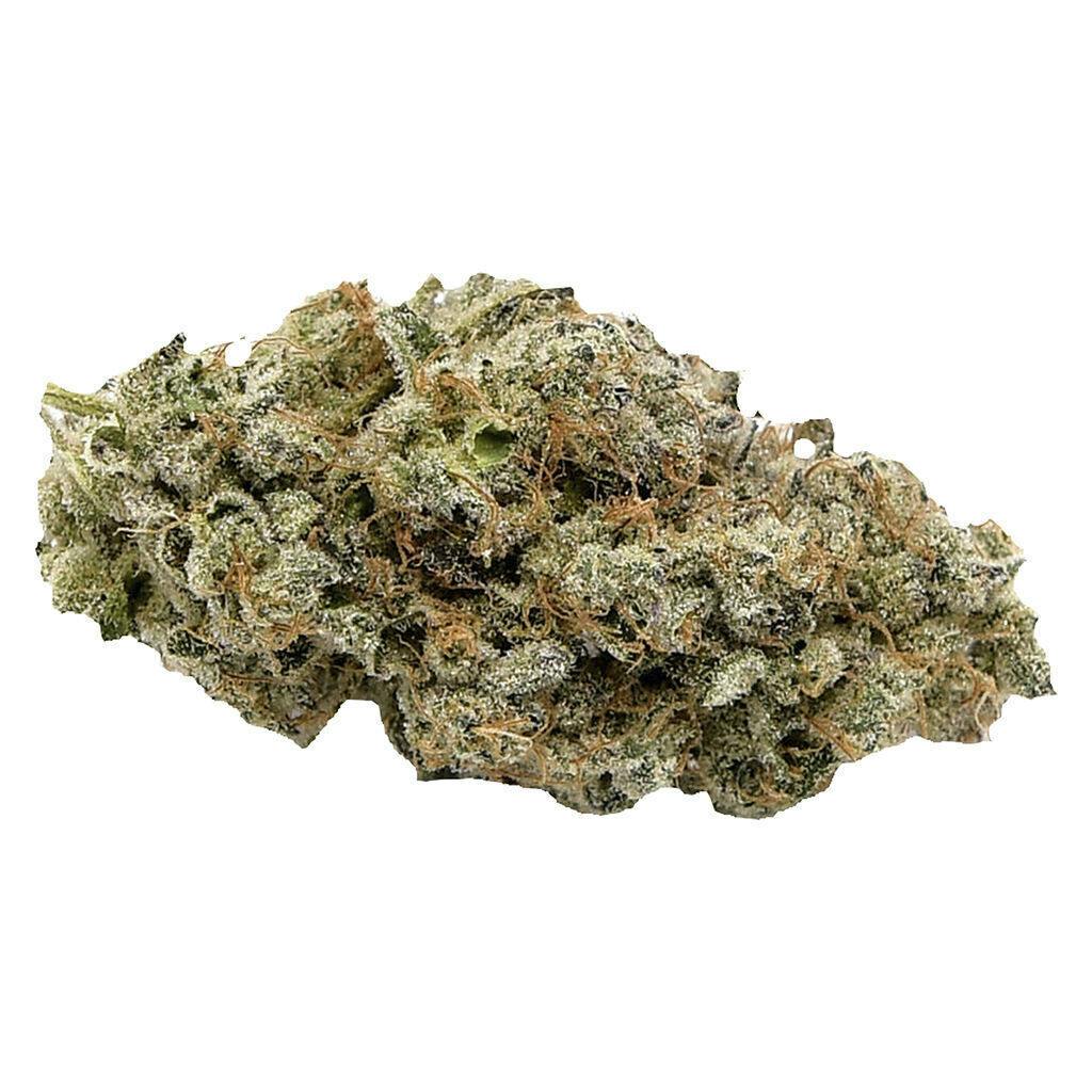 Better Than Your GP | Big Buds | 7g