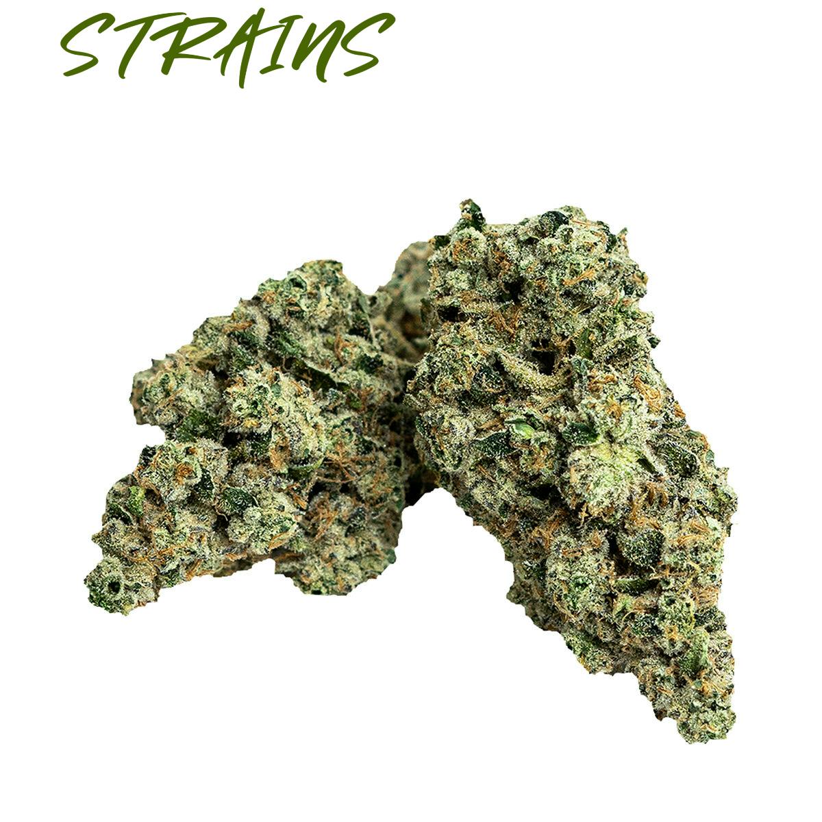First Class Gas | 7g