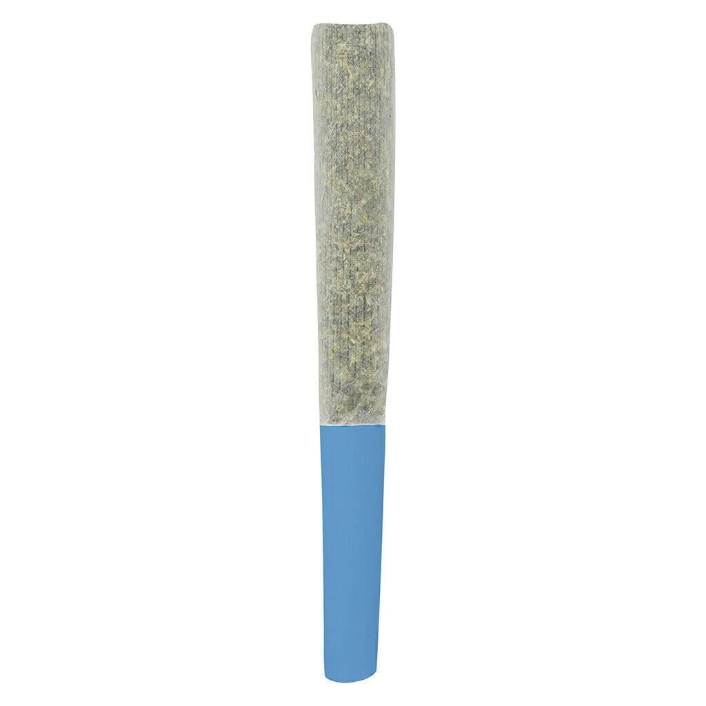 Blueberry Kush | Infused Minis | 0.5g | 3pk