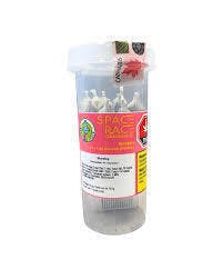 Stargals | Joints | 1g | 10pk