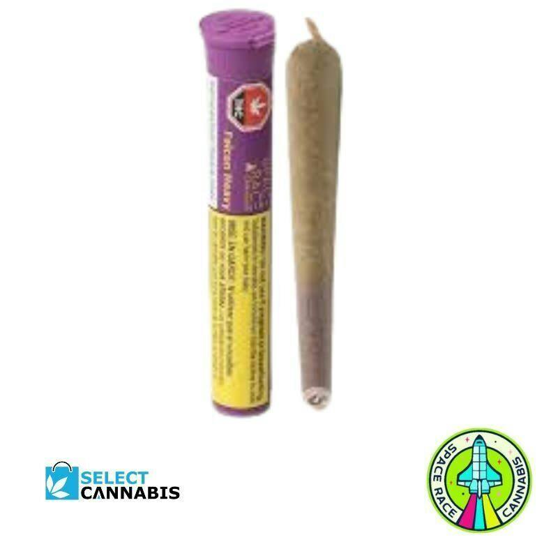 Falcon Heavy | Joints | 1g