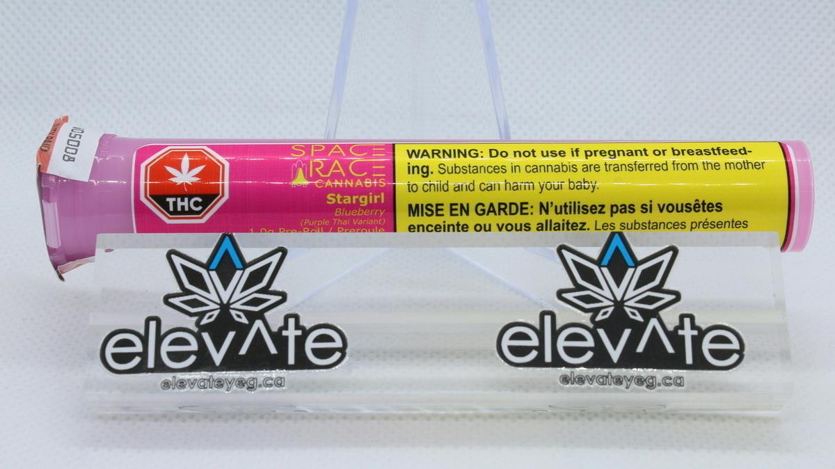 blueberry | Joints | 1g