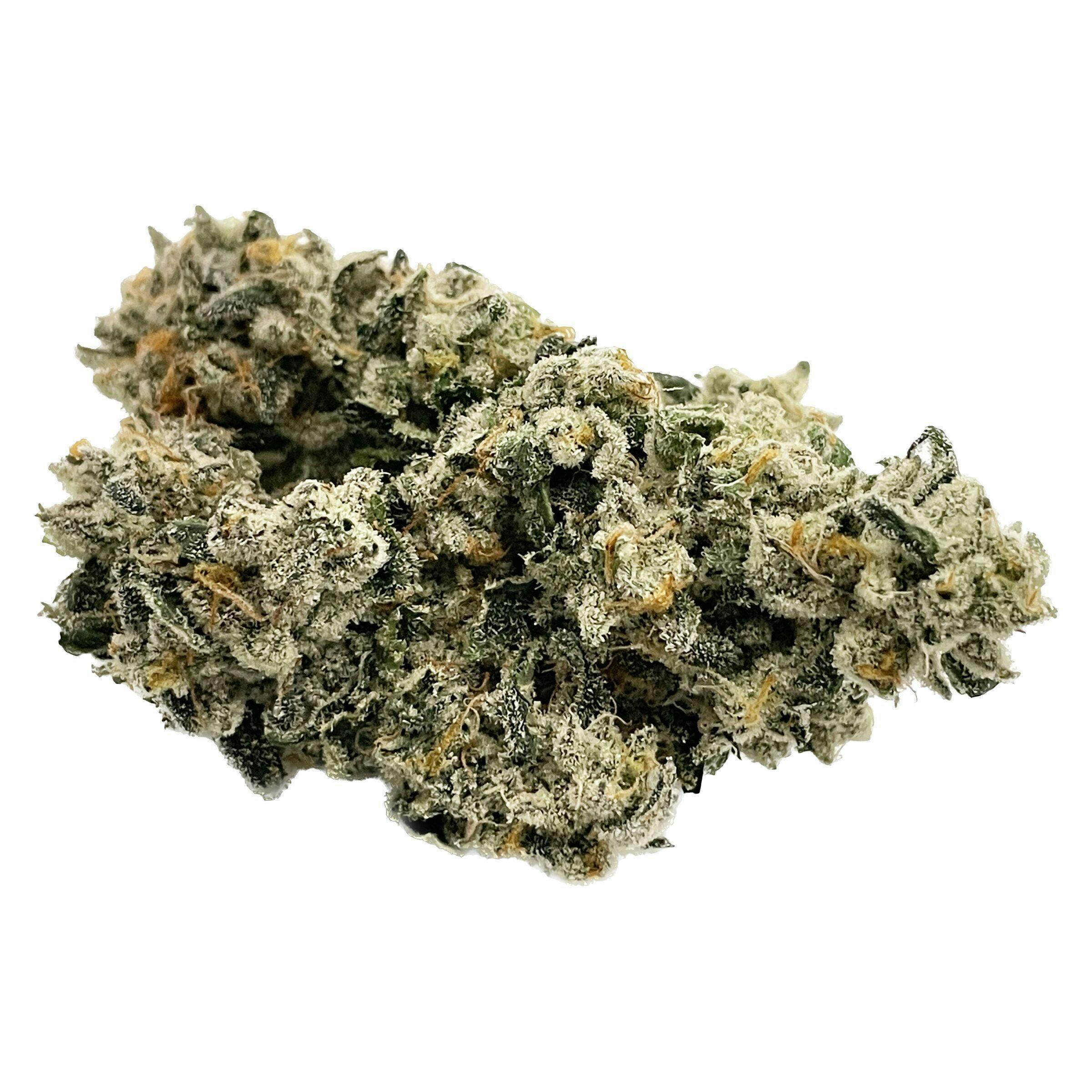 Astro Gas | Big Buds | 3.5g