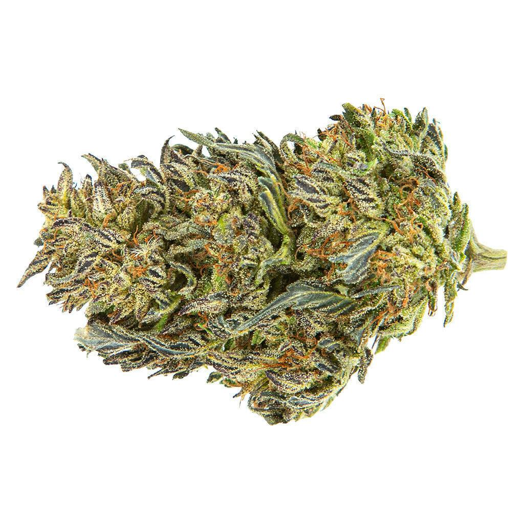 Frenchy Macaroni | Big Buds | 14g