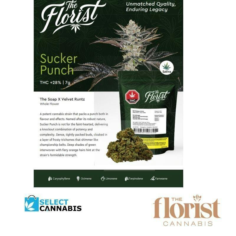Sucker Punch | Big Buds | 7g
