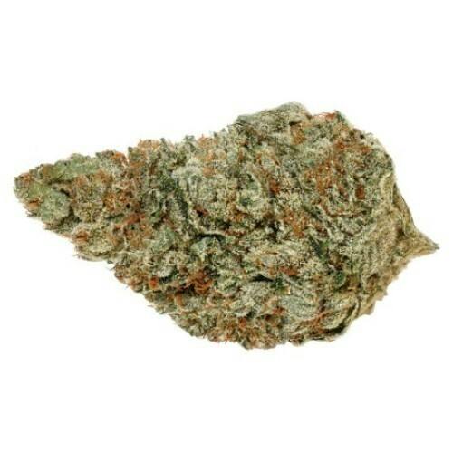 Electric Grapefruit | Big Buds | 7g
