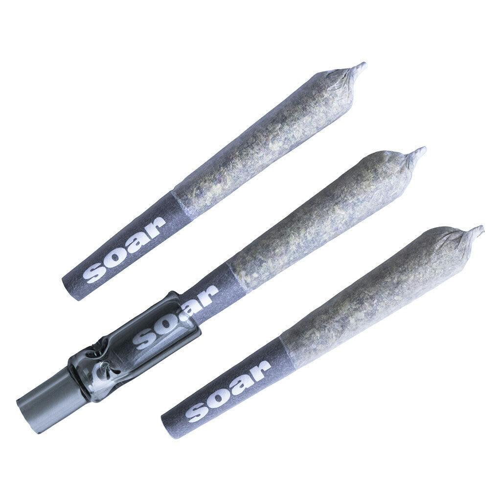 Brain Cake | Minis | 0.5g | 3pk