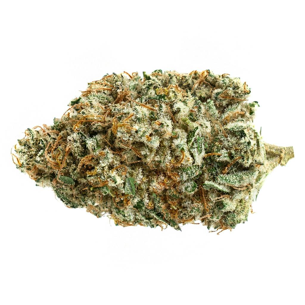 Alien Fuel | Big Buds | 7g