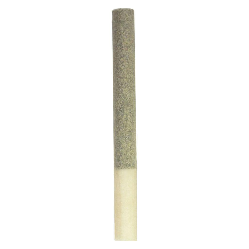 Joints | 1g