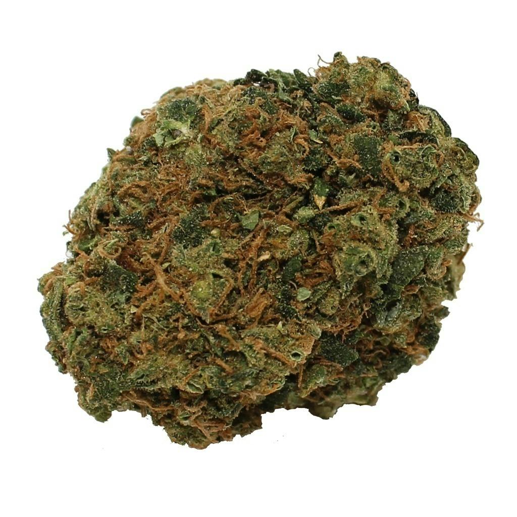 Chocolate Mint OG | Big Buds | 3.5g