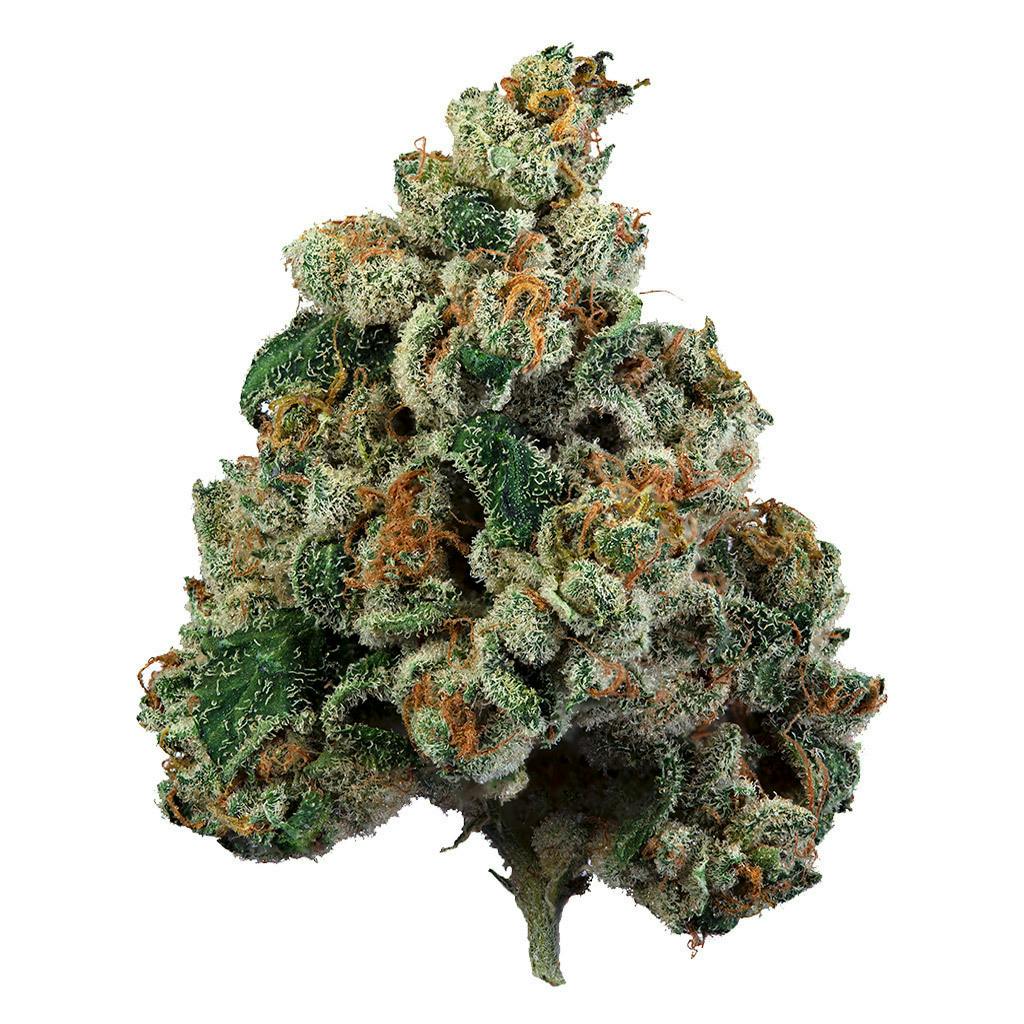 extreme | Big Buds | 7g