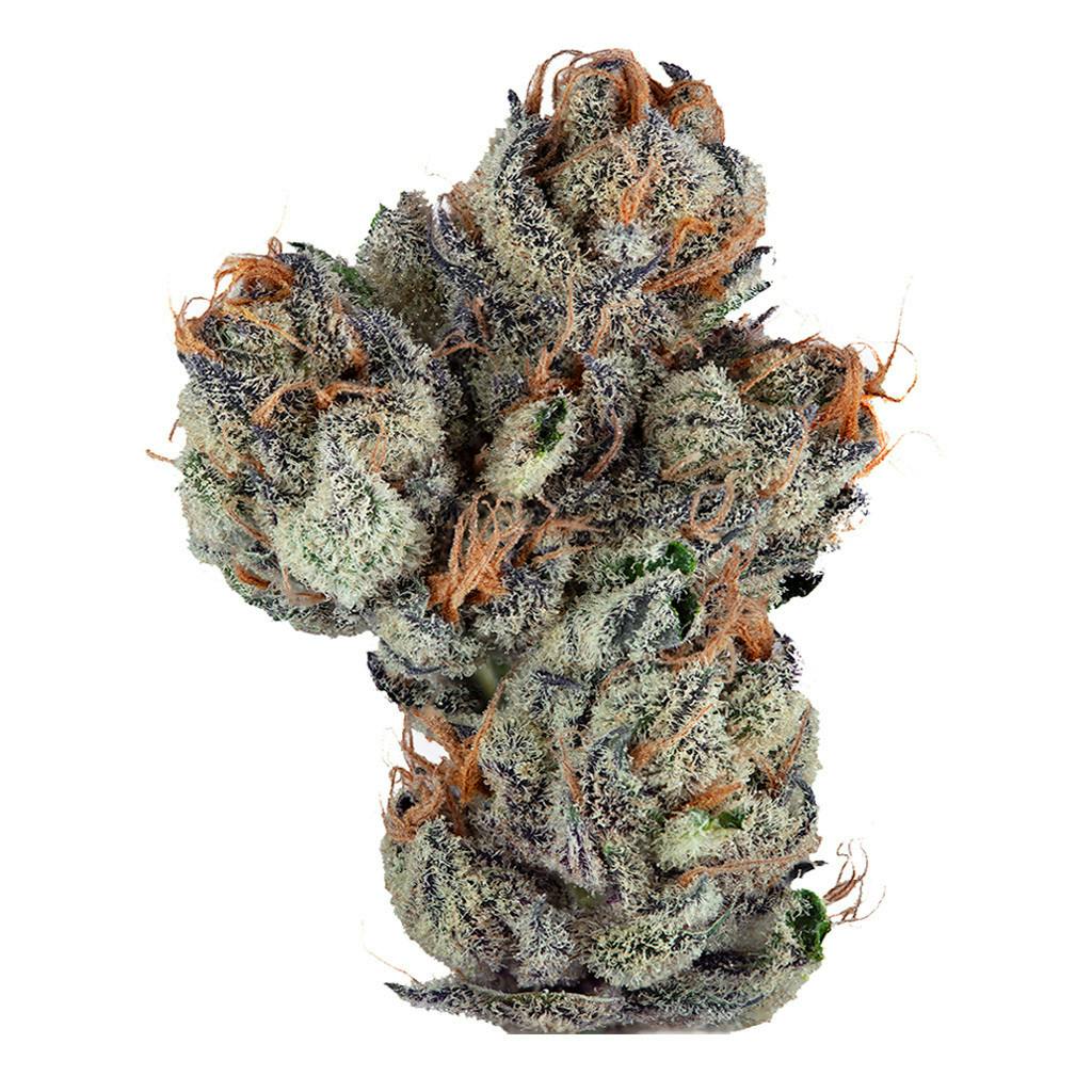 intense | Big Buds | 7g