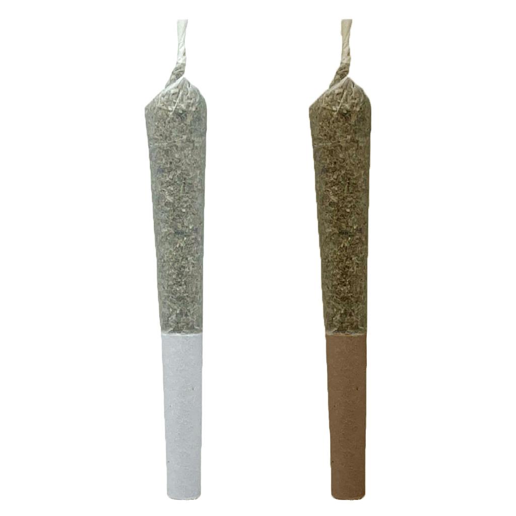 Sunny Roses | Minis | 0.5g | 4pk