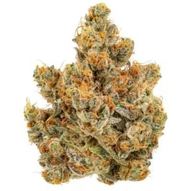 Key Lime Pie | Big Buds | 28g