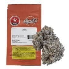 Jungle Kush | 3.5g