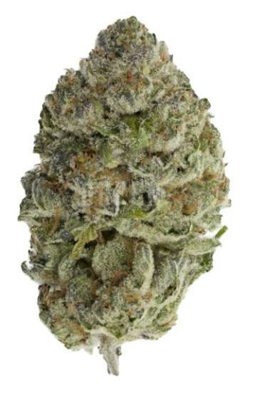 Bluefin Tuna | Big Buds | 3.5g