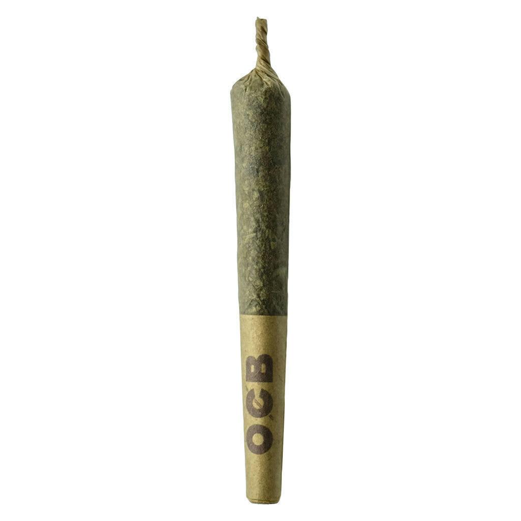 Dubb Bubbs | Infused Minis | 0.5g | 3pk